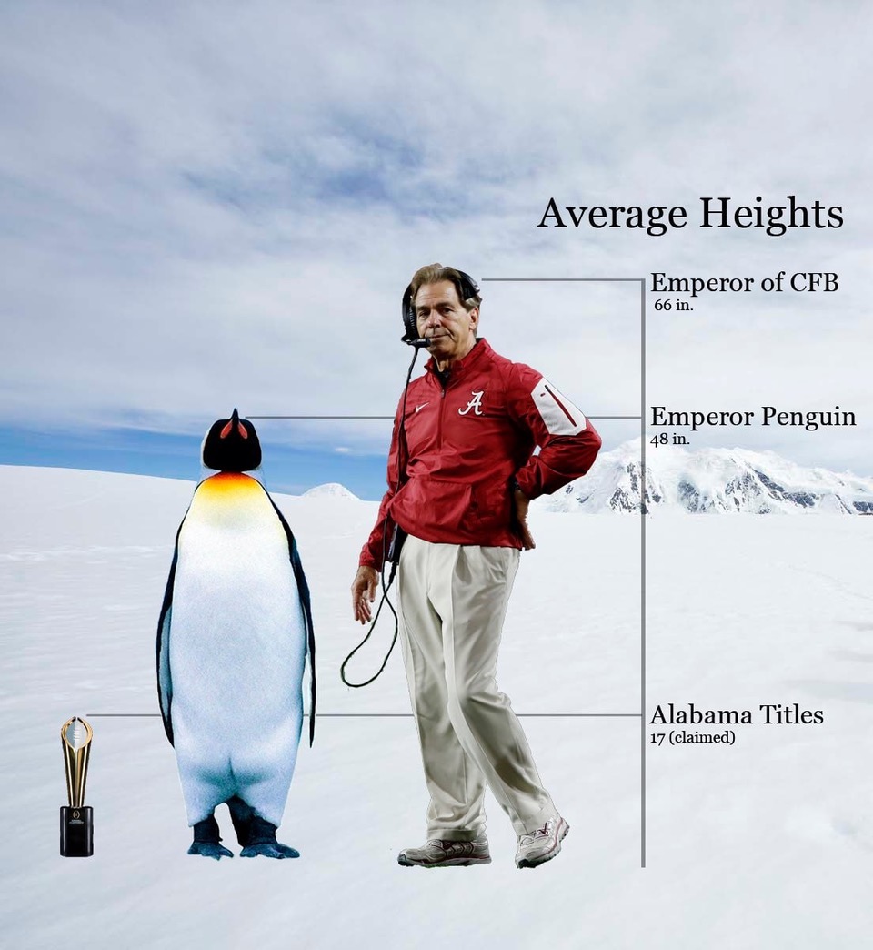 photo_2025-05-16 09.34.37.jpeg